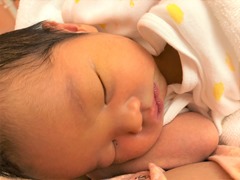 IMG_2551 IMG_2551